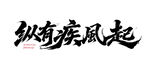 纵有疾风起