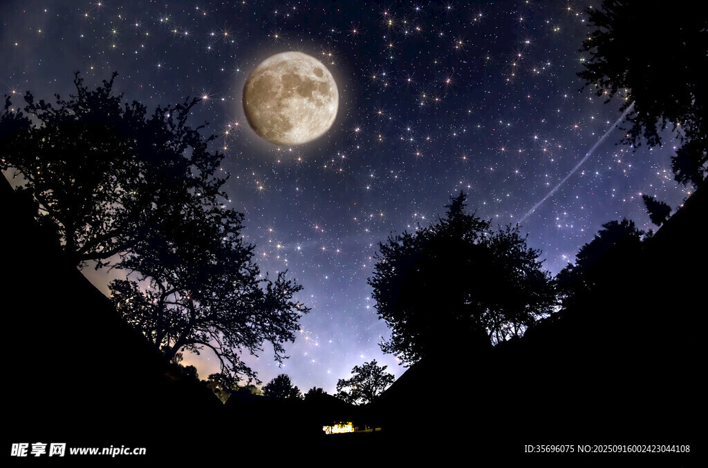 月夜星空下的静谧树林