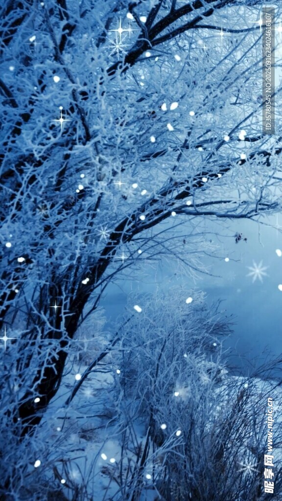 冬日雪景中的银白树枝