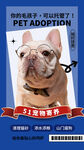 宠物寄养