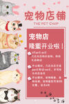 宠物店开业