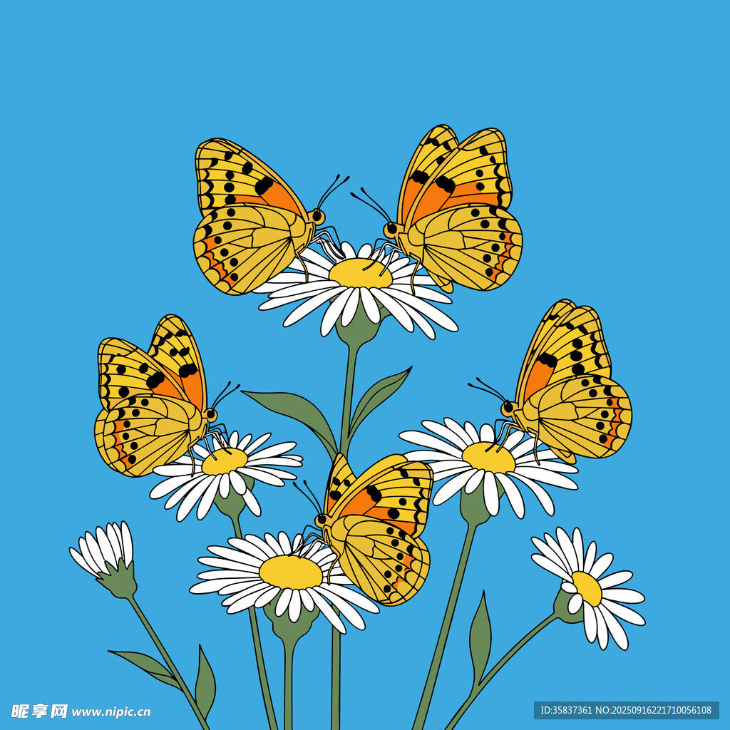 卡通蝴蝶