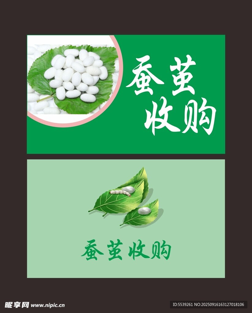 蚕茧收购宣传图
