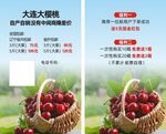 大连大樱桃 新鲜美味来袭
