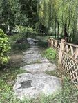 林间石板小径 自然景致