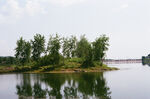 湖畔绿树倒影宁静美景