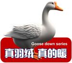 羽绒宣传标牌