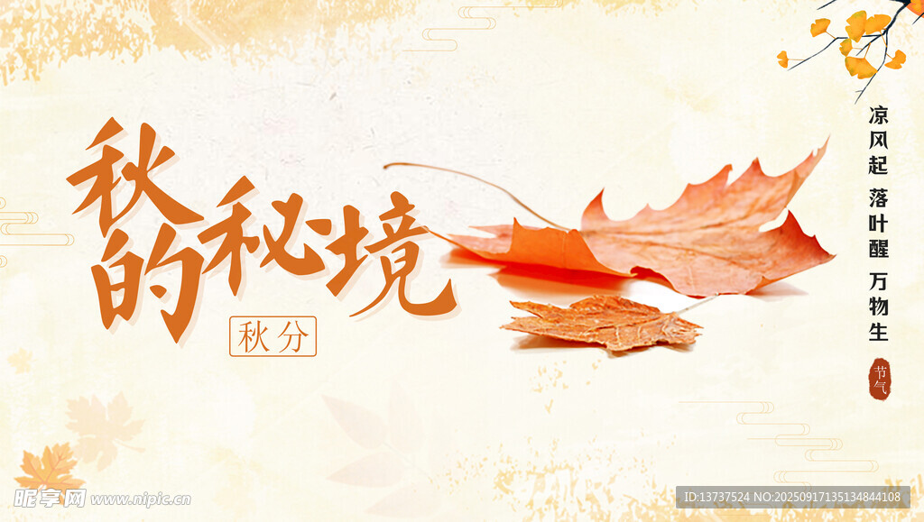 秋分