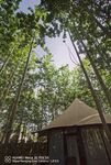 林中小屋