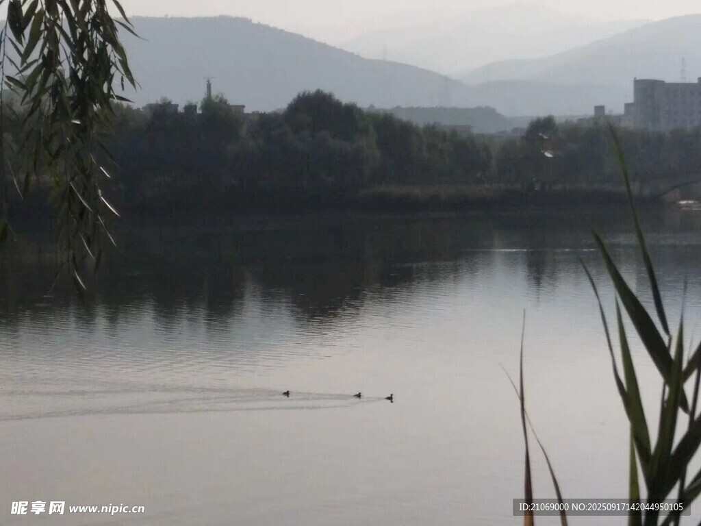 雾中的小湖