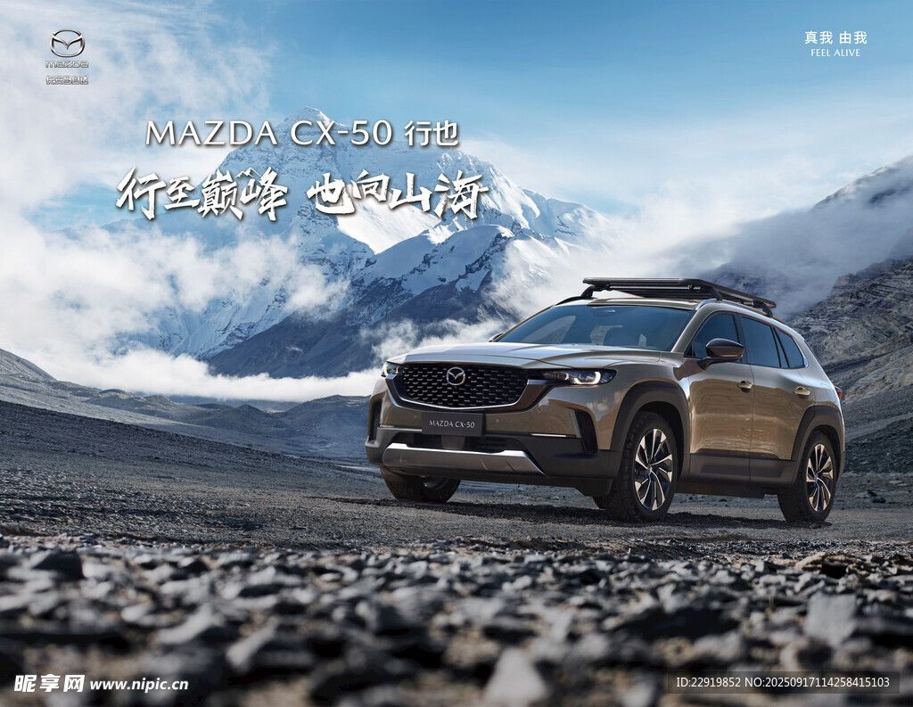 马自达 CX50行也