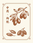 中药枸杞图案设计