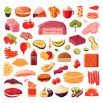 美食食材插图
