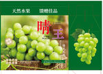 晴王葡萄 天然美味臻品 葡萄礼