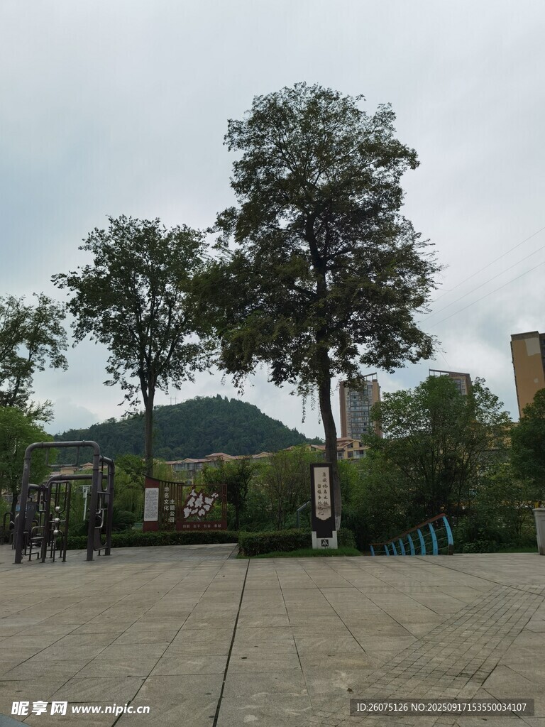 户外广场的绿树与山景