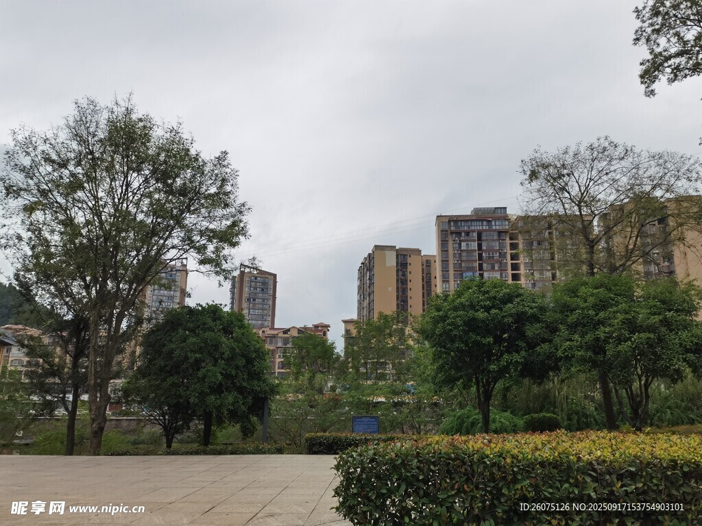 城市中的绿化景观与建筑