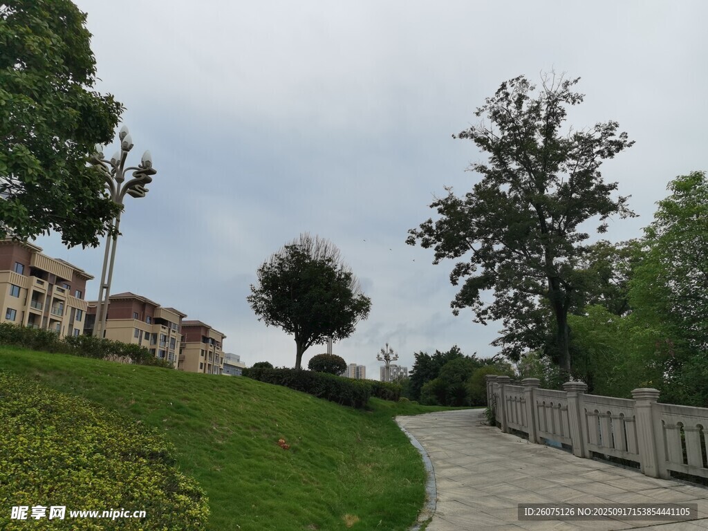 城郊小径旁的绿植与建筑