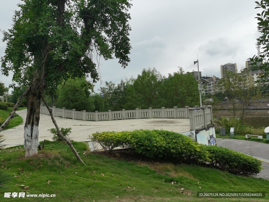 城市公园绿意景观一角