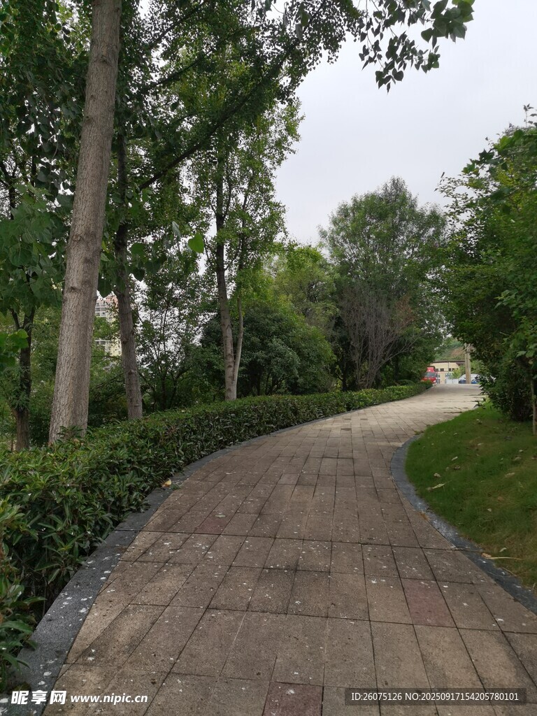 林间幽静砖石小径