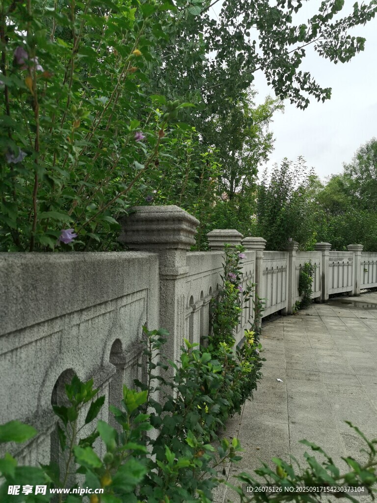 庭院石墙绿植景观