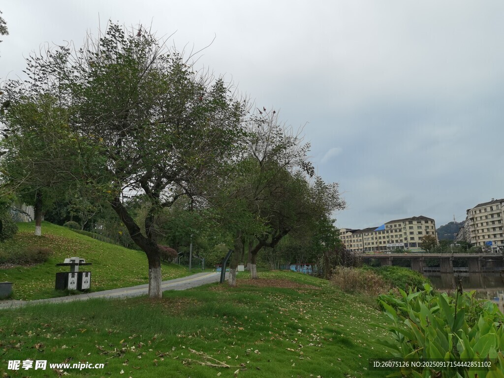 公园绿意小径风景