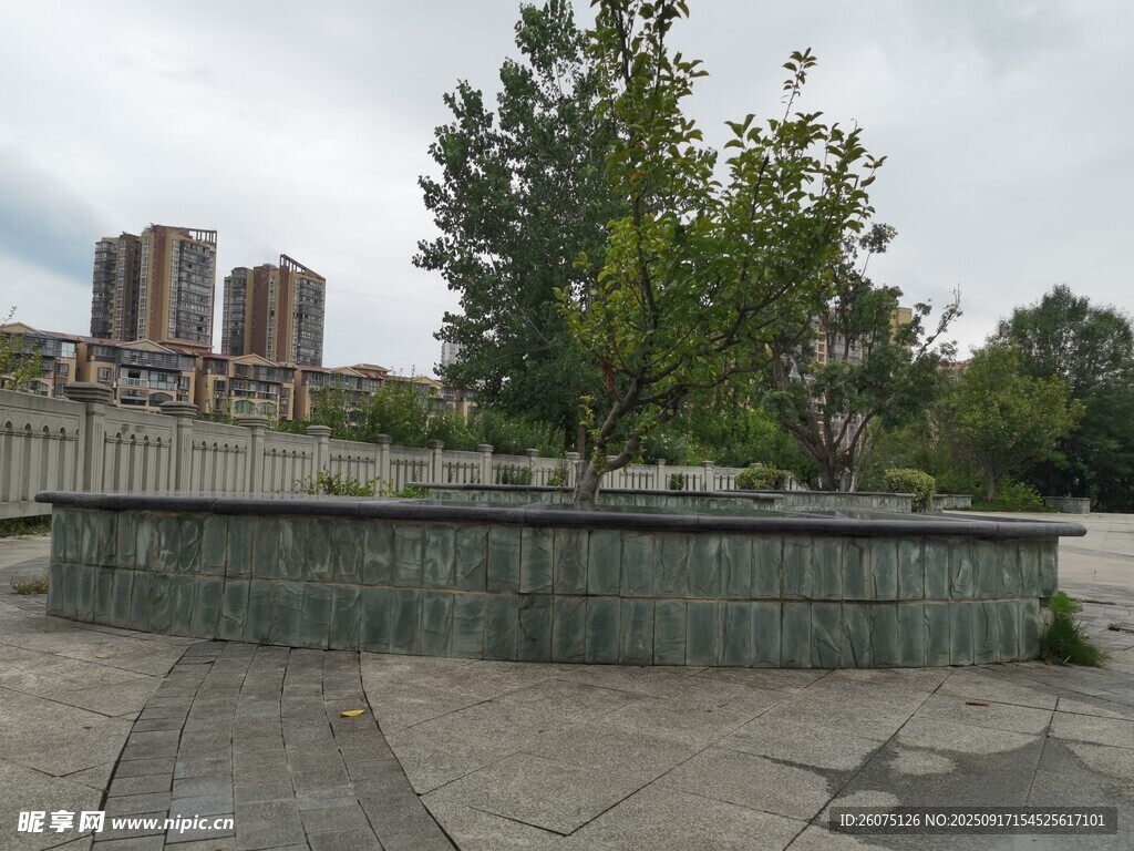 城市中的绿植景观