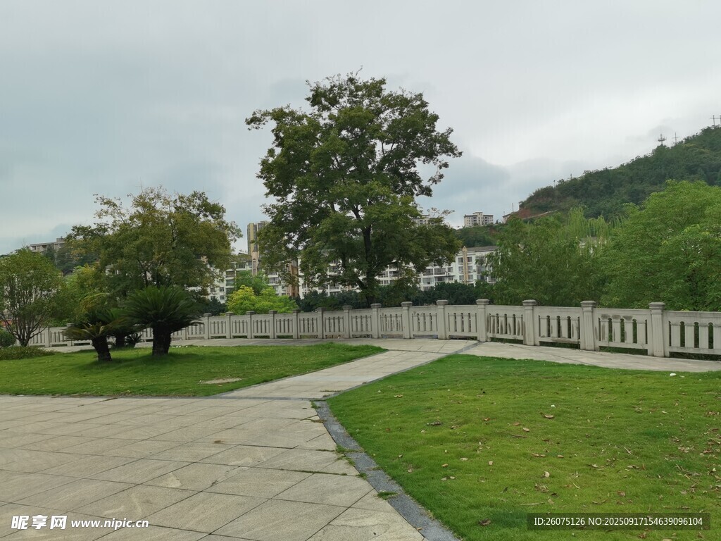 宁静公园的开阔绿地景观