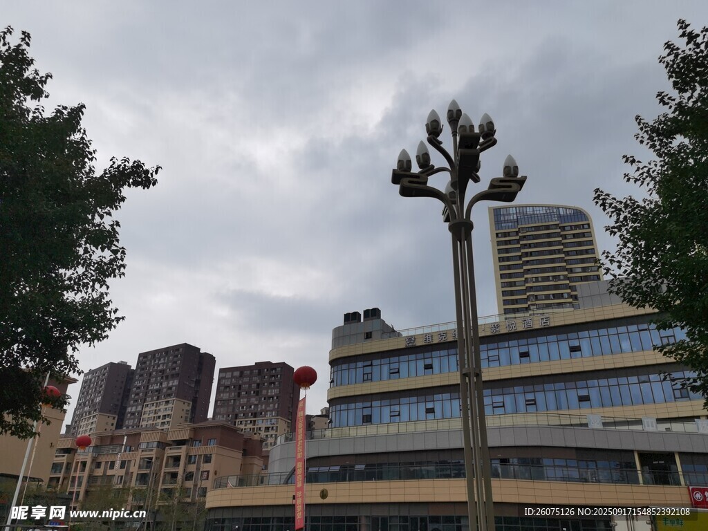 城市中独特造型的树木建筑