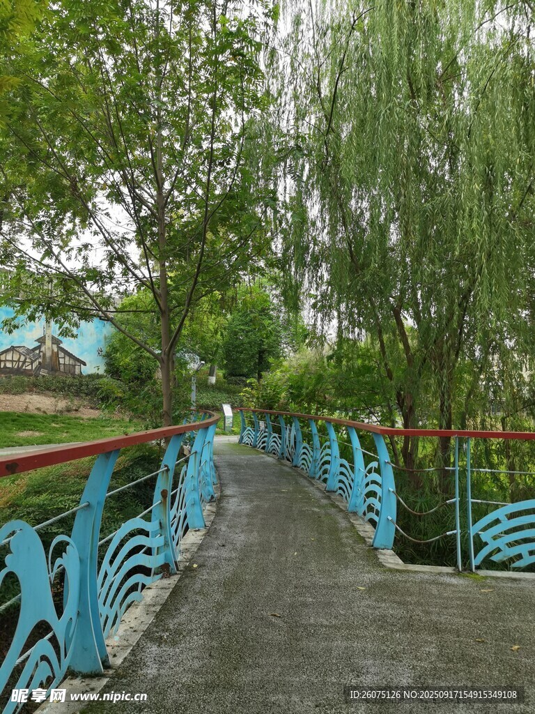 蓝色桥边的绿意小径
