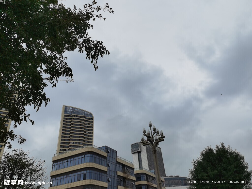 城市中的独特建筑景观