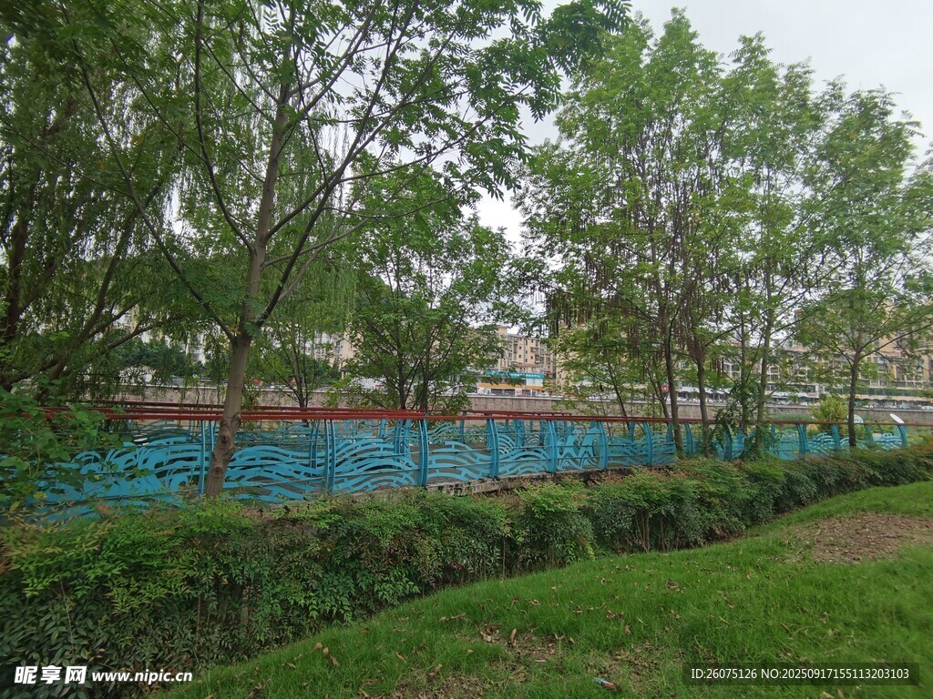 户外绿树环绕的蓝色场地