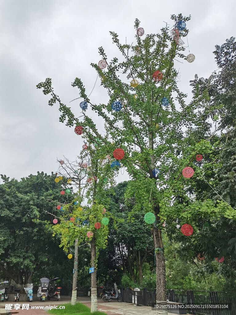 枝头彩色景观灯装饰的大树