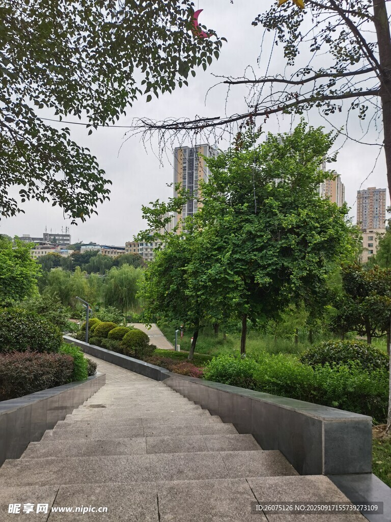 城市中的静谧林荫步道