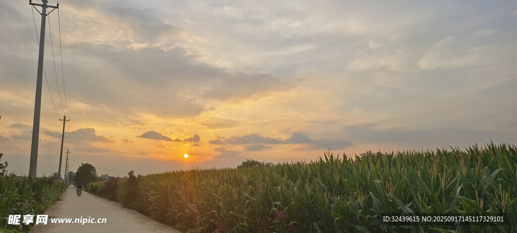 夕阳下的田间小路