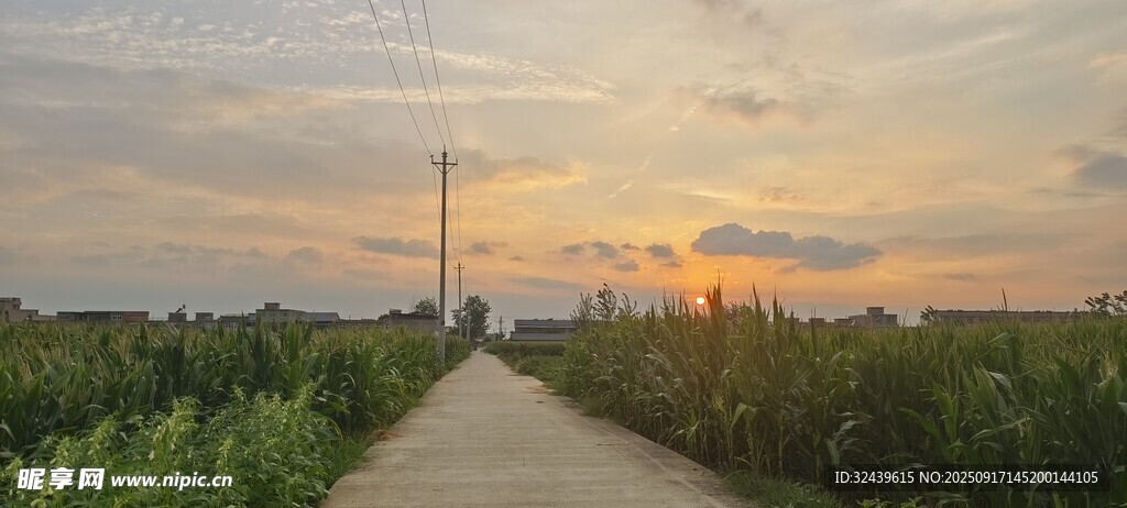 夕阳下的田野小路