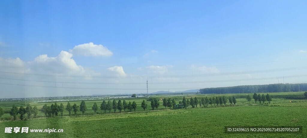 广袤绿野蓝天美景