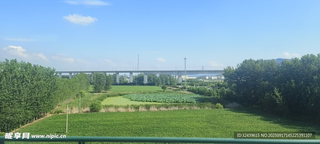 绿意盎然的开阔户外景致