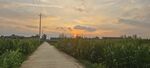 夕阳下的乡间小路