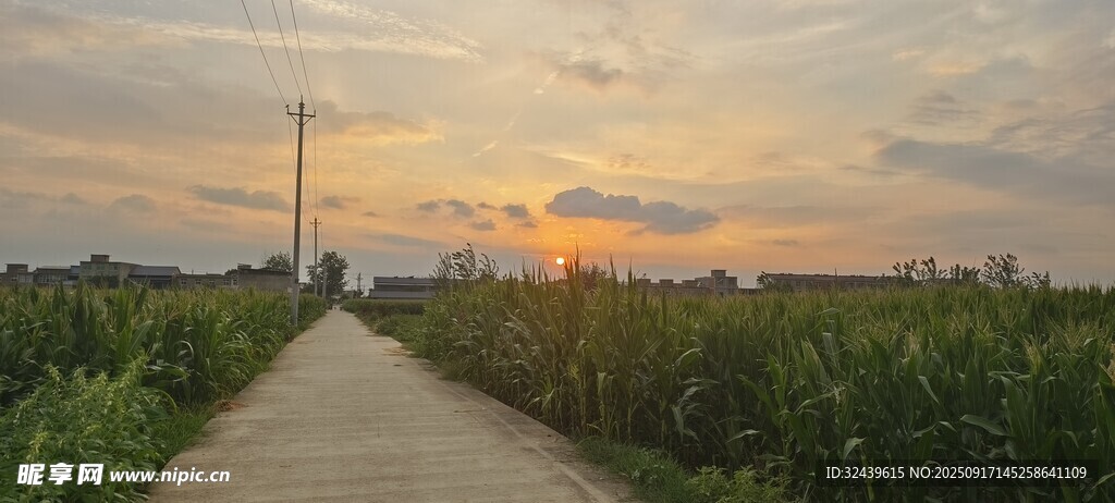 夕阳下的乡间小路