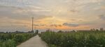 夕阳下的乡间小路