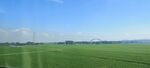 广袤绿野蓝天之下的田园