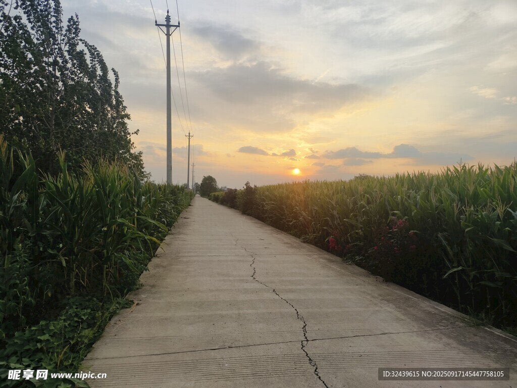 夕阳下的乡间小路