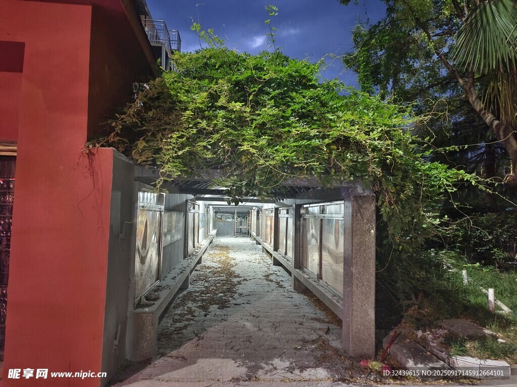 红墙绿植间的清幽小道