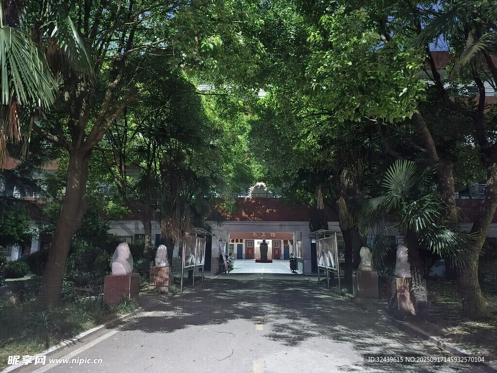 林荫下的休闲小道