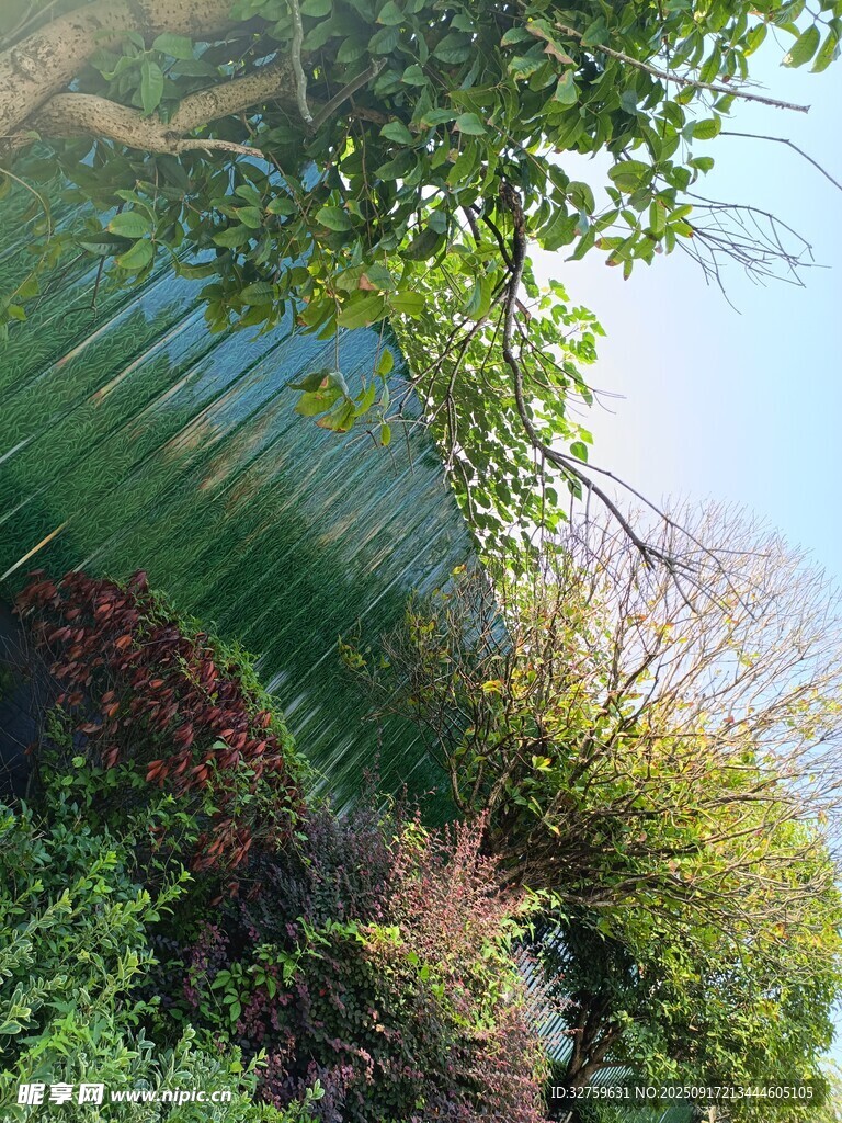 山间绿意盎然的自然景致