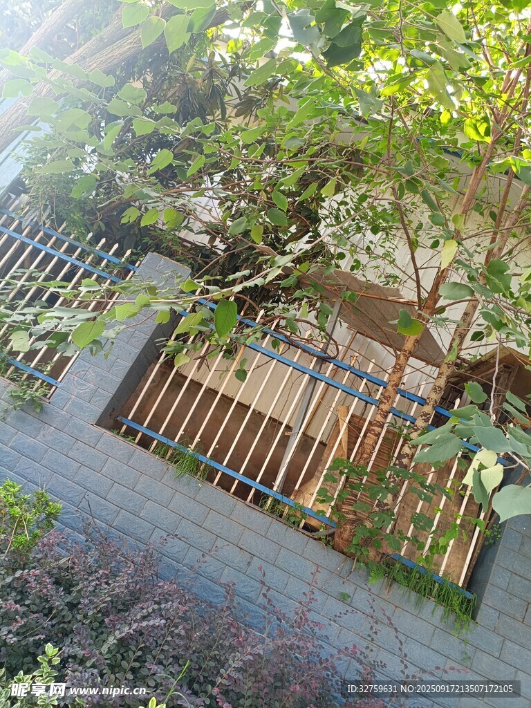 空中俯瞰精致庭院景观