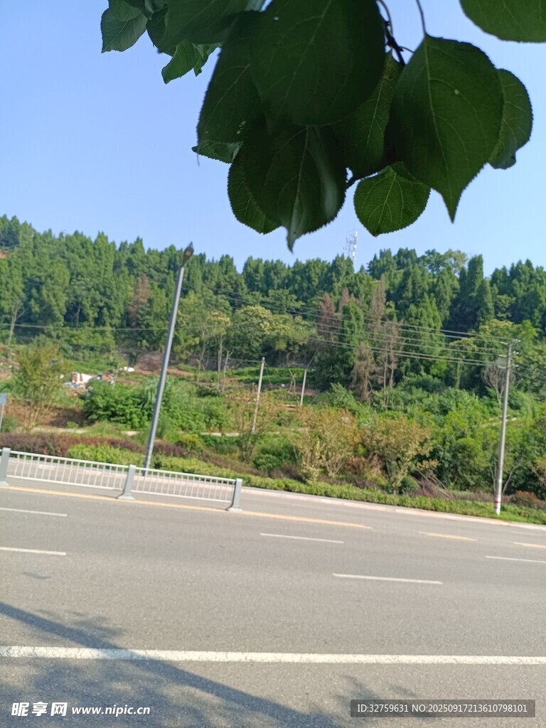 公路旁绿意盎然的自然景致
