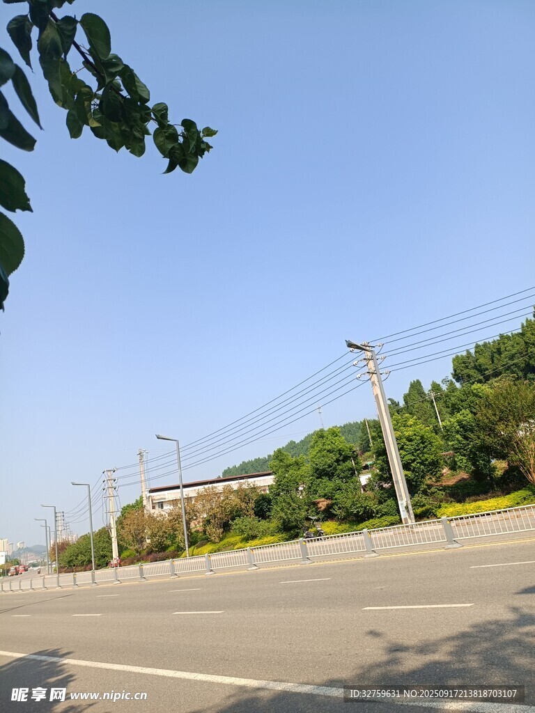 晴朗公路旁绿树蓝天景色