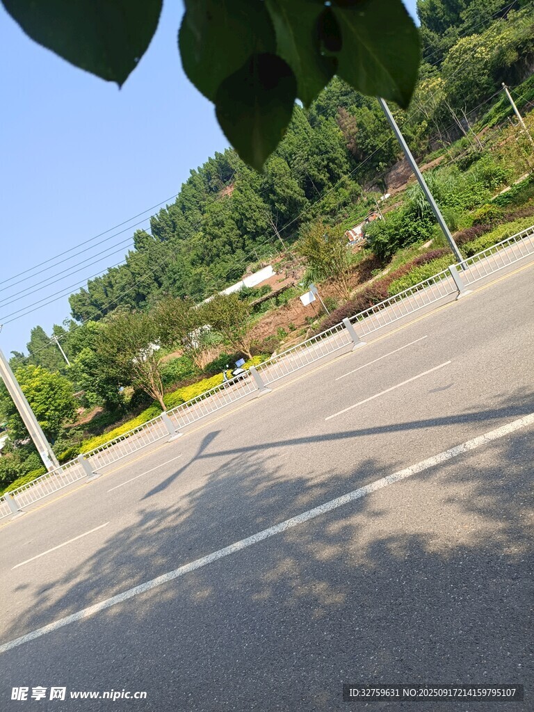 户外林荫下的开阔道路