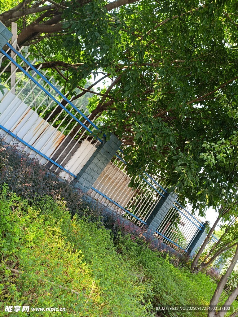 户外绿植旁的围栏景观